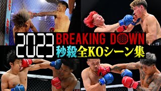 2023年 ブレイキングダウン全KOシーン集