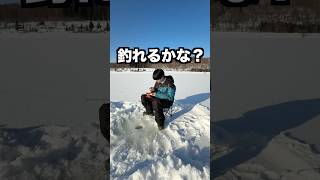 氷の上に穴開けて魚釣りたい