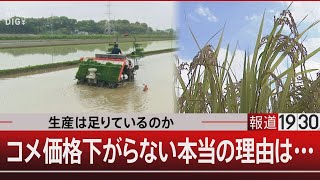 生産は足りているのか　コメ価格下がらない本当の理由は【4月30日(水) #報道1930】 のサムネイル