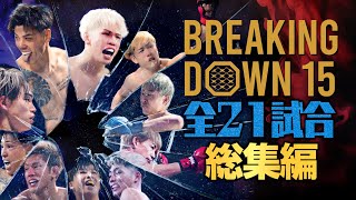 ブレイキングダウン15 全21試合 総集編 試合解説つき のサムネイル