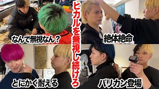 絶対君主ヒカルをネクステ全員で無視し続けたら一体どうなるのか？ のサムネイル