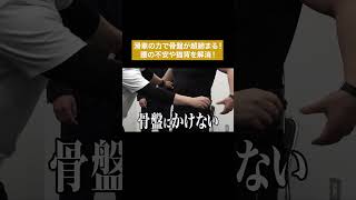ギュッと締まってめちゃくちゃ気持ちいい！姿勢改善にAllguベルト #通販の虎 #shorts