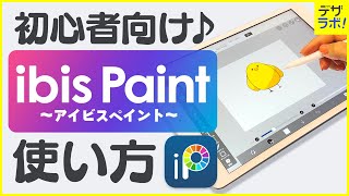 【初心者必見!】デザイナーが教える |アイビスペイントの使い方～超入門～【ibisPaint/お絵描き・イラストアプリ】 のサムネイル