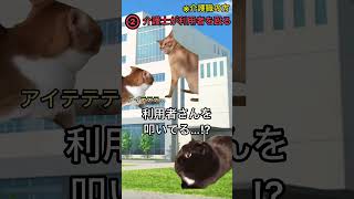 退職代行を使おうと思った瞬間4選【猫ミームver】#猫ミーム #猫ミーム日常 #仕事辞めたい #ブラック企業 #退職代行