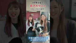 【大切なお知らせ】公式LINEアカウントを新アカウントに移行しました！#大切なお知らせ #LINEアカウント #退職代行 #仕事辞めたい #問い合わせ #踊ってみた