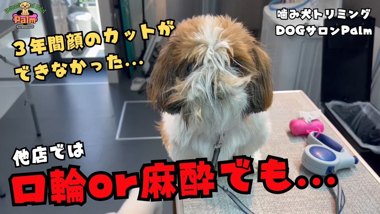 サムネ