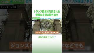 トランプ政策で危惧される 優秀な才能の国外流出 #アベヒル #Shorts