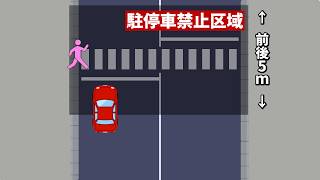【道路交通法38条2項】法律改正の経緯が判明しました