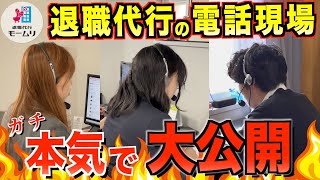退職代行の会社への電話現場をガチ公開【退職代行モームリ】