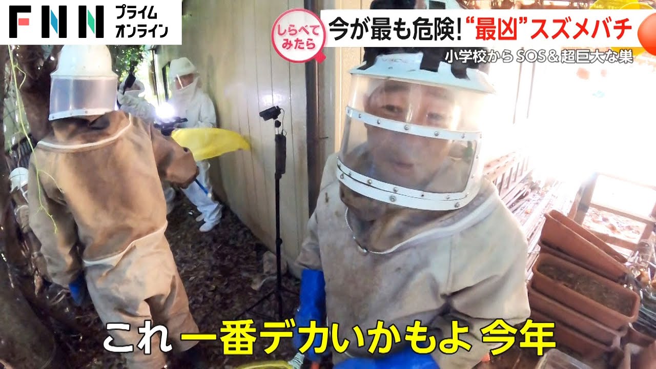 サムネ