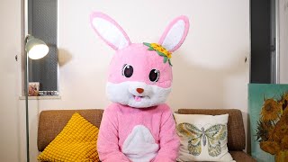 こたけガチ勢のウサギが来た