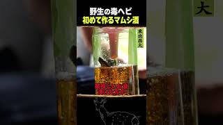東出昌大 / 初めて作るマムシ酒