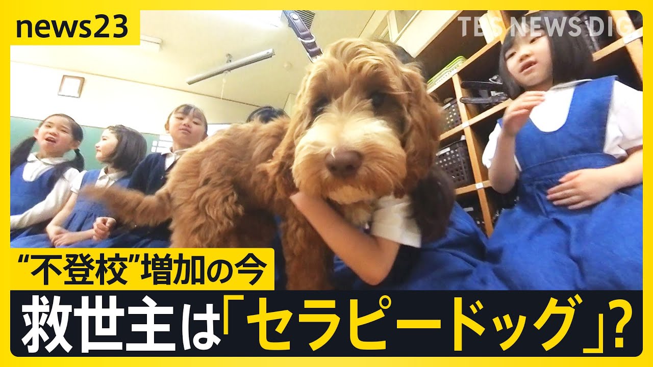 サムネ